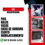 Desentupidora Leal em Goiania8
